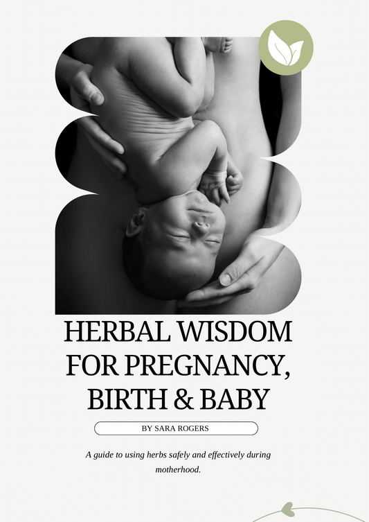 Herbal Wisdom for Pregnancy, Birth & Baby E-Book