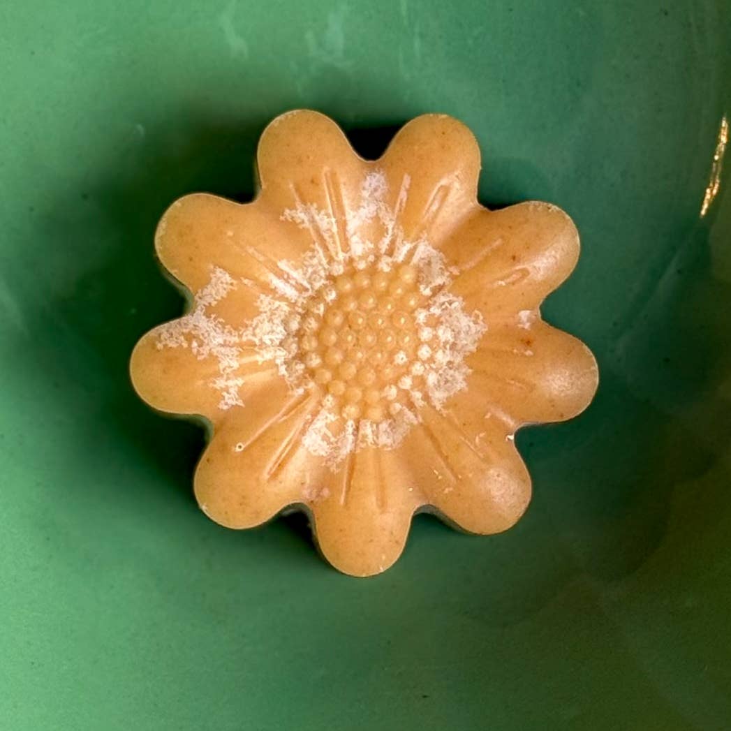 Honey Turmeric Tallow Face Bar Soap & Frankincense Face Wash