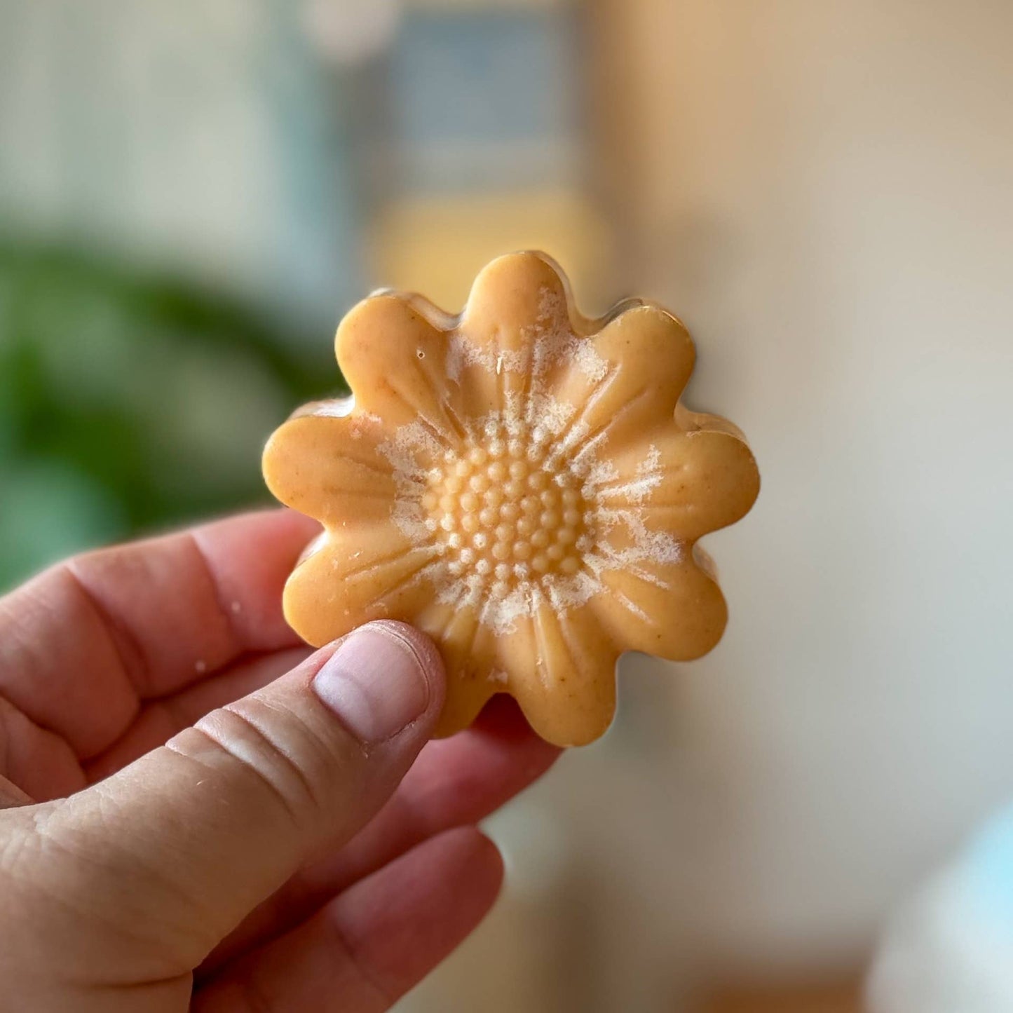 Honey Turmeric Tallow Face Bar Soap & Frankincense Face Wash